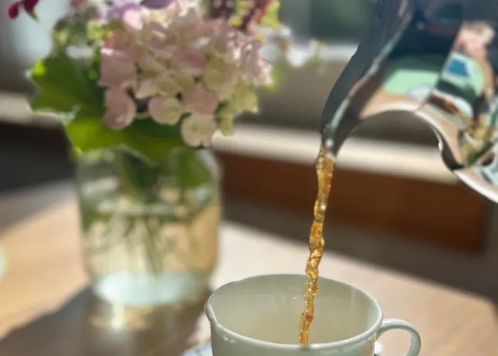 Ξενοδοχείο Finkenhof - Haus Meersmannufer Ανόβερο